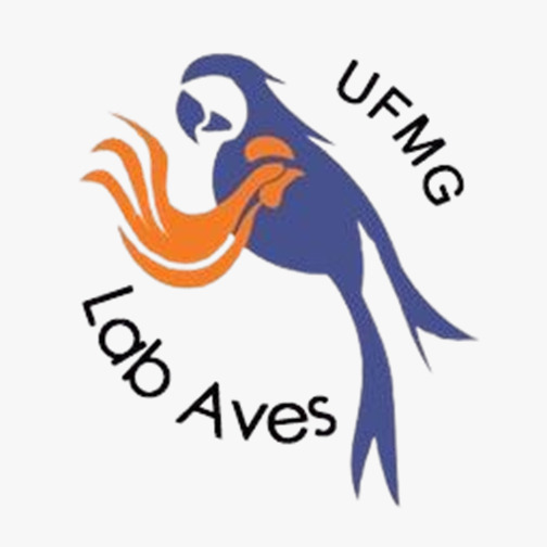Lab Aves